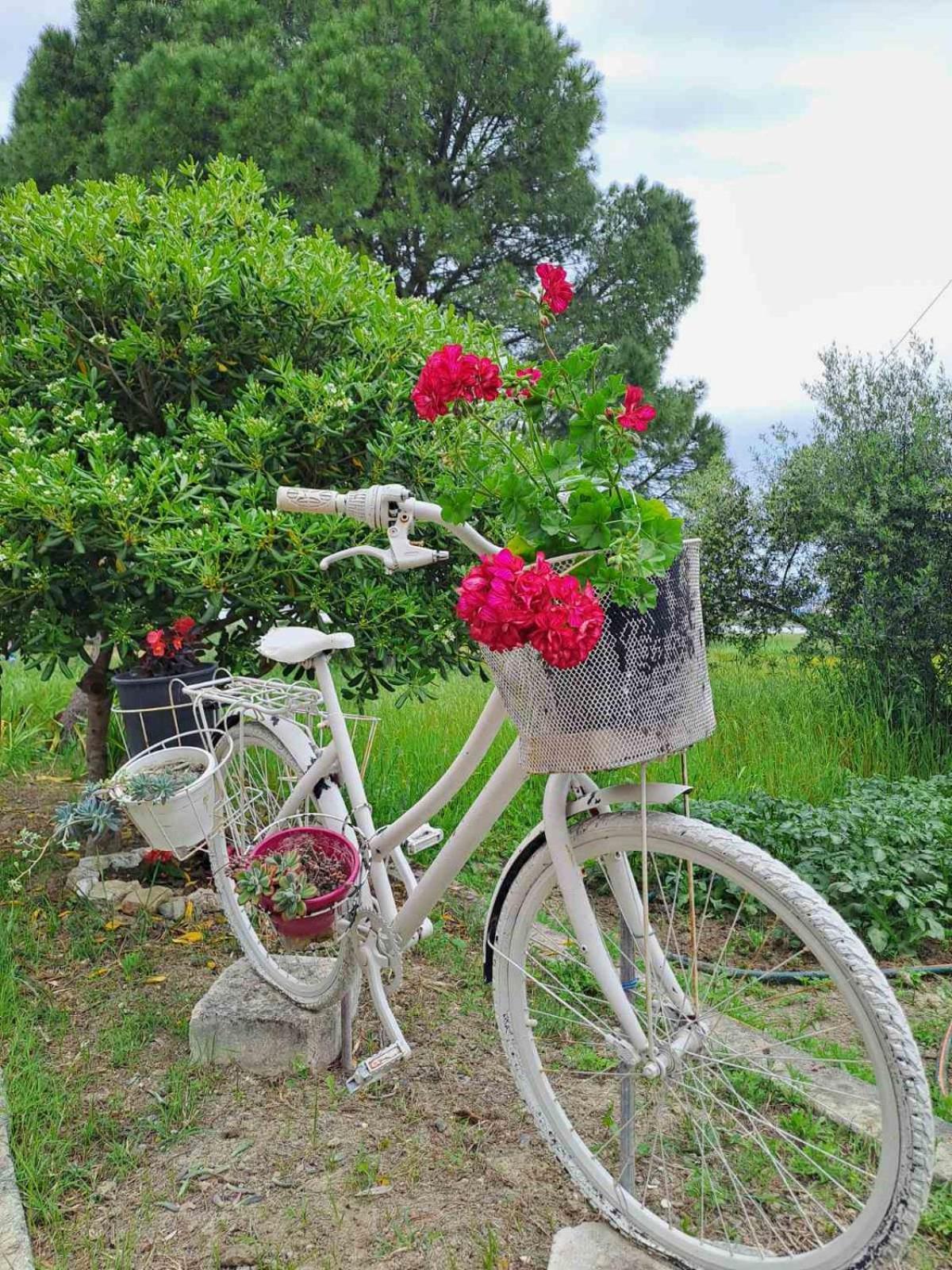 Corfu Lake House Kanoni  Ngoại thất bức ảnh